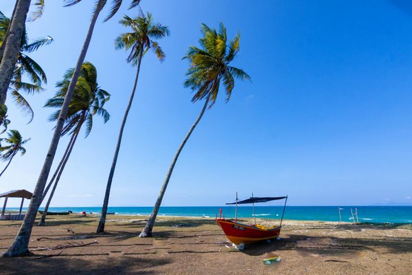 Quelles destinations paradisiaques découvrir lors d'une croisière ?